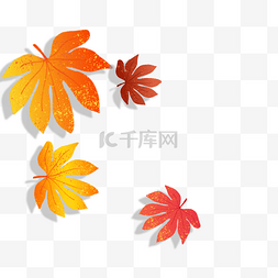 漂浮树叶图片_秋天的枫叶