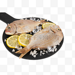 冰镇食品图片_红立鱼水产食材