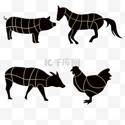 猪图片_家禽家畜解剖图