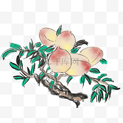 手绘蜜桃图片_夏天水墨风桃子手绘插画