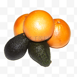 水果高清图片_新鲜水果美味水果西柚牛油果组合