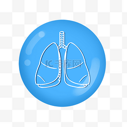 身体器官呼吸系统肺蓝色