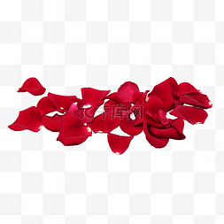 花瓣红色图片_红色玫瑰花瓣