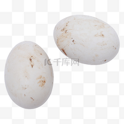 白色鸭蛋图片_白色的鸭蛋