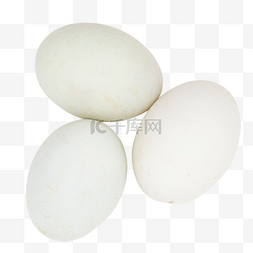 白壳鸡蛋图片_有机白壳鸡蛋