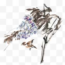 手绘小鸟图片_紫藤花下的鸟水墨画PNG免抠素材