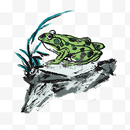 国风青蛙图片_夏天青蛙蝌蚪手绘插画