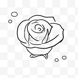 线描玫瑰鲜花