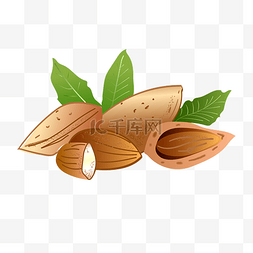 绿色食物插图图片_巴旦木养生食物插图