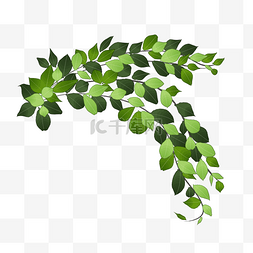 绿色藤蔓装饰免抠插图