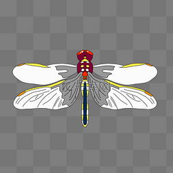 透明翅膀图片_透明翅膀蜻蜓