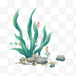 绿色树叶插画图片_海底植物海藻元素插画