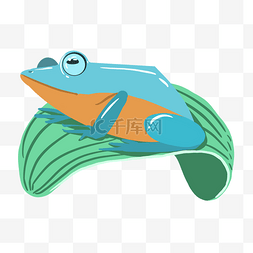 青蛙叶子图片_爬行青蛙插画