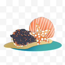 夏季动物海星海螺贝壳卡通手绘