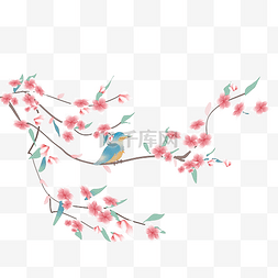 小鸟图片_花枝小鸟