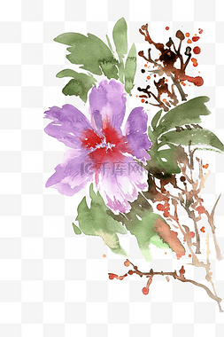 紫色的花朵图片_紫色的木槿花