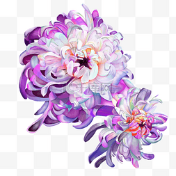 写实版紫色秋菊
