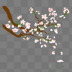 春季唯美枝头粉色樱花插图