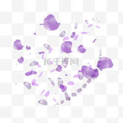 空中飘舞紫色花瓣