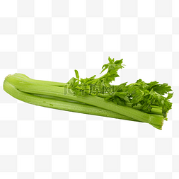 绿色蔬菜芹菜