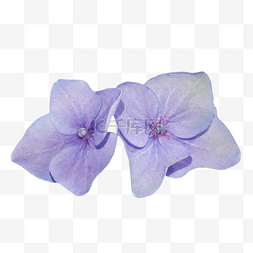 蓝色绣花球花朵