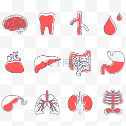 人体肝脏器官图片_人体五脏图标矢量图