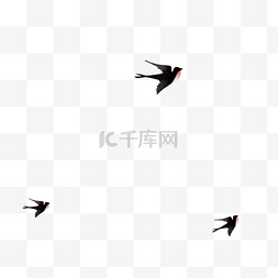 燕子飞翔插画图片_黑色的燕子免抠图