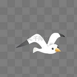 海鸥卡通图片_白色的海鸥免抠图