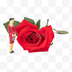 女人节图片_微距拍摄红玫瑰和女人