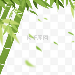 竹子植物图片_绿色竹子竹叶