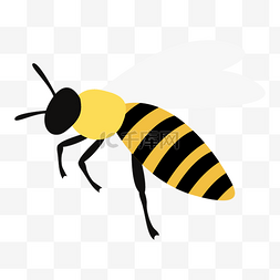 可爱昆虫小蜜蜂