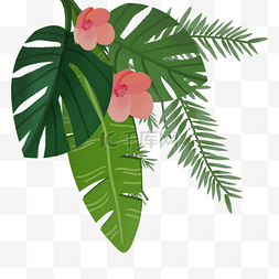 热带植物组合插画