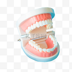 口腔护理牙齿图片_爱牙日口腔护理牙齿模型