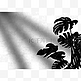 植物投影棕榈树ins黑白影子