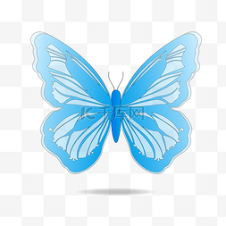 翅膀蝴蝶图片_矢量蓝色的唯美蝴蝶插画