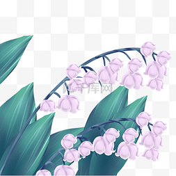 铃兰花图片图片_紫色铃兰花花枝