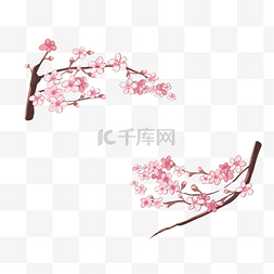 粉红日本樱花边框