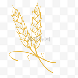 小麦图片_农作物小麦