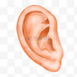 耳朵畸形图片_听声音耳朵装饰