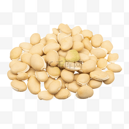 一摊豆子图片_农作物系列扁豆