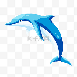 海底海豚图片_可爱蓝色海豚
