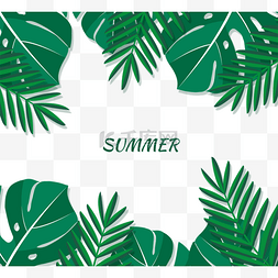夏季热带龟叶棕榈树树叶边框