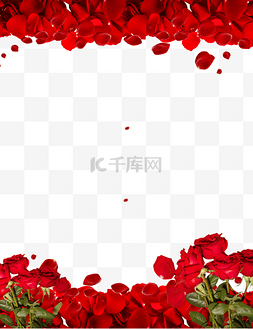 玫瑰花瓣花瓣图片_情人节玫瑰边框