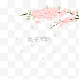 粉红色手绘樱花插画元素