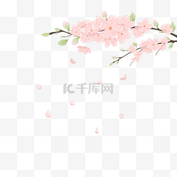 插画花瓣樱花图片_粉红色手绘樱花插画元素