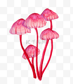 红色珊瑚图片_红色植物珊瑚