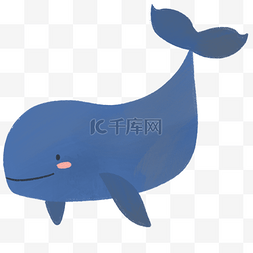 动物哺乳类鲸鱼卡通