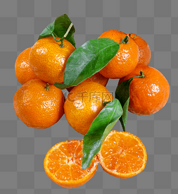 橘子蜜桔桔子水果