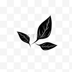 植物树叶纹身插画