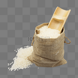 世界粮食日素材图片_白色大米粮食